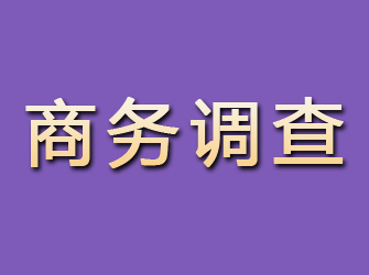 泉州商务调查